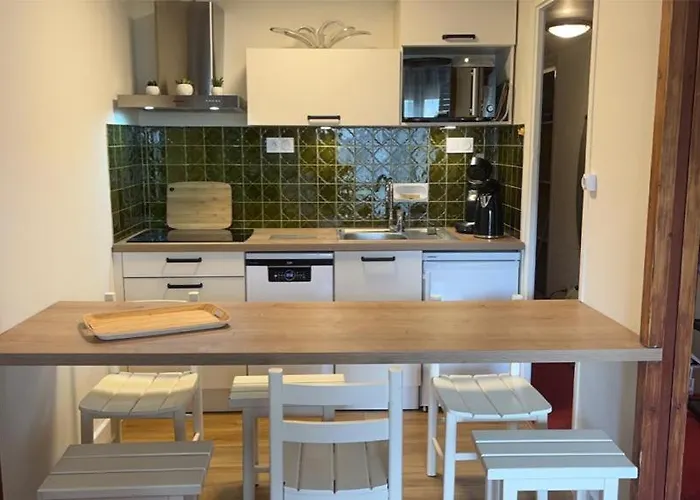 Aux Pieds Des Pistes Apartament *