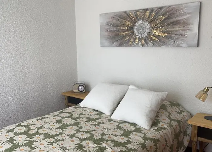 Aux Pieds Des Pistes Les Deux Alpes